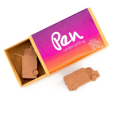 Image of Van-Shaped Wildflower Seed Bombs - Matchbox